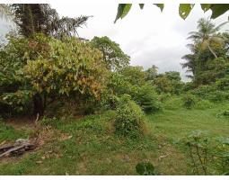 Dijual Tanah Kebun Luas 1250m2 SHM Akses Dekat Kota Provinsi - Pangkal Pinang