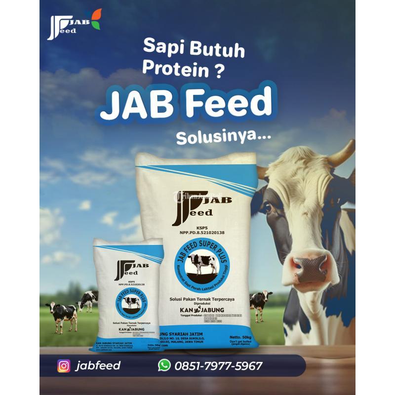 Pakan Konsentrat Sapi Protein Terbaik - Malang 