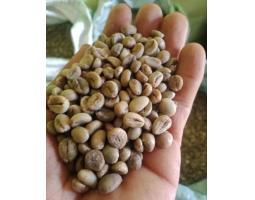 Discover the Rich Flavor of Indonesia Coffee Beans - Makassar