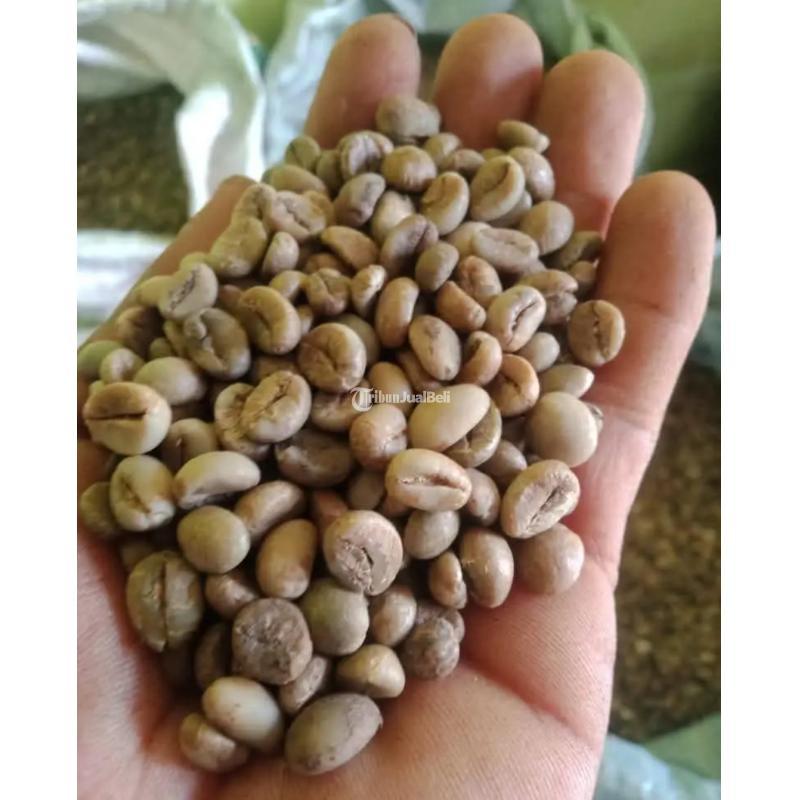 Discover the Rich Flavor of Indonesia Coffee Beans - Makassar