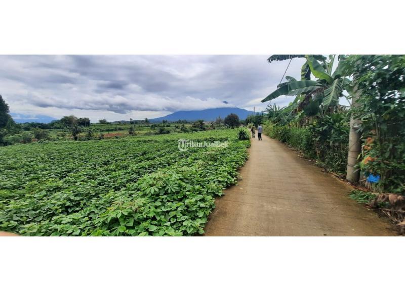 Dijual Tanah Murah, Luas 12.504m2, SHM, di Ciherang, Dramaga - Bogor