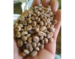 Kopi Toraja Indonesia Murah - Makassar 