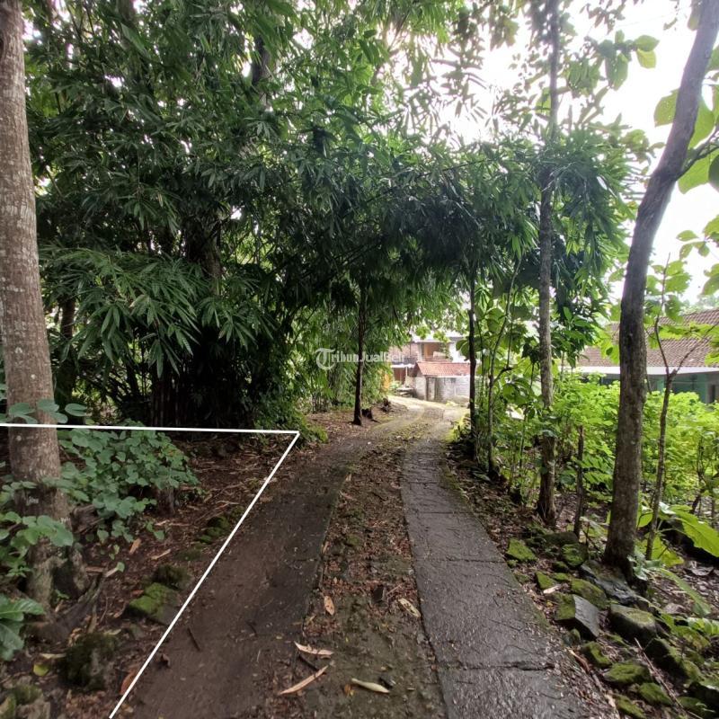 Dijual Tanah Kavling Murah di Karangmojo Dekat RSI 10 Menit UNY Wonosari - Gunung Kidul