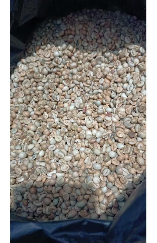 Best Raw Coffee Beans Wholesale Arabica Toraja - Makassar