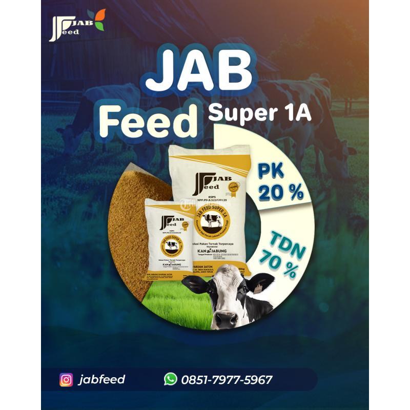 Jabfeed, Pakan Konsentrat Sapi Protein Terbaik di Jawa Timur - Malang