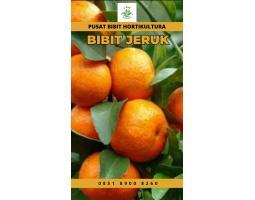 Tsel Sentra Bibit Jeruk Purut - Medan