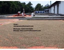Supplier Biji Kopi Arabica Toraja - Makassar