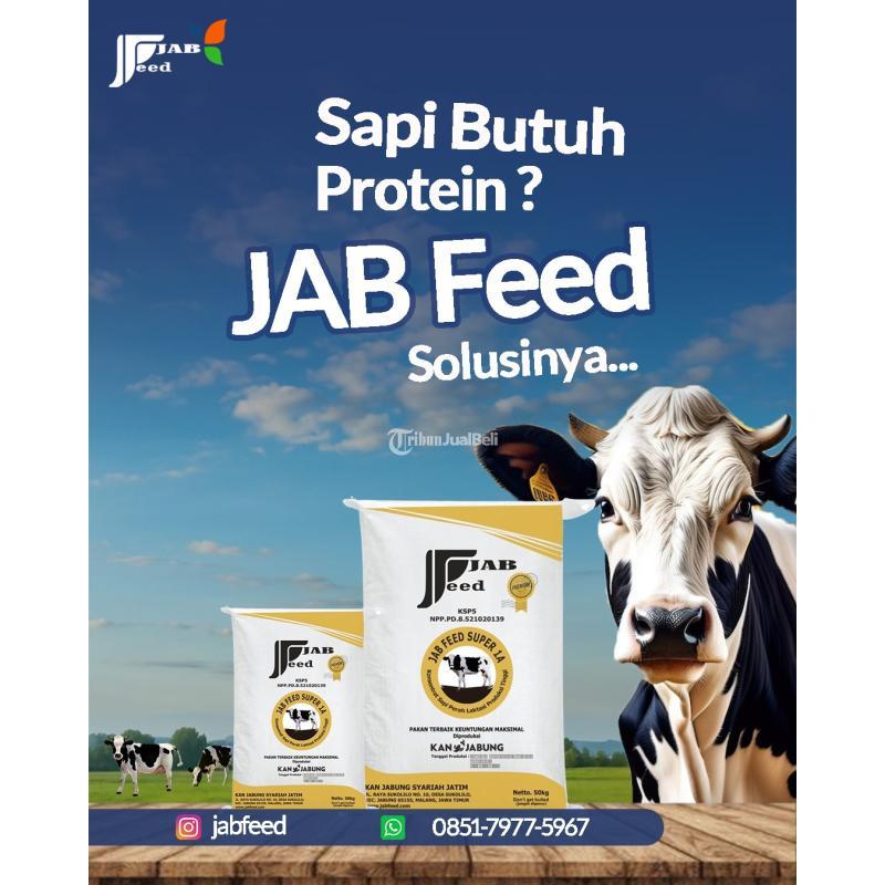 Jabfeed, Pakan Konsentrat Sapi Protein Tertinggi - Malang