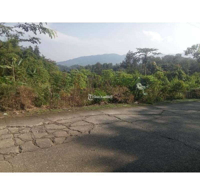 Tanah Dijual Luas 440 m2 Lokasi Pinggir Jalan Cocok Untuk Rumah, Villa, Tempat Usaha - Bogor