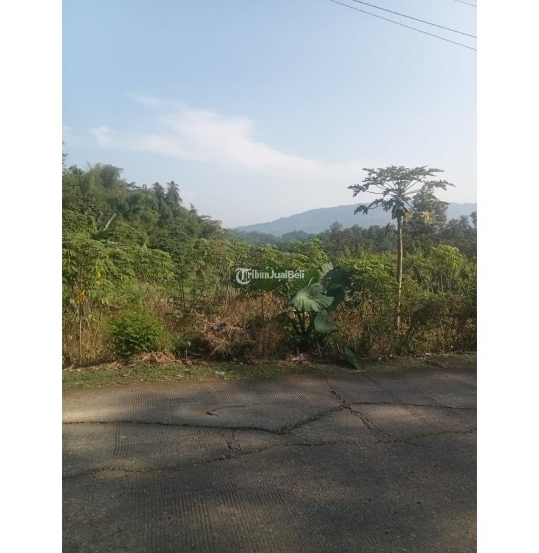 Tanah Dijual Luas 440 m2 Lokasi Pinggir Jalan Cocok Untuk Rumah, Villa, Tempat Usaha - Bogor