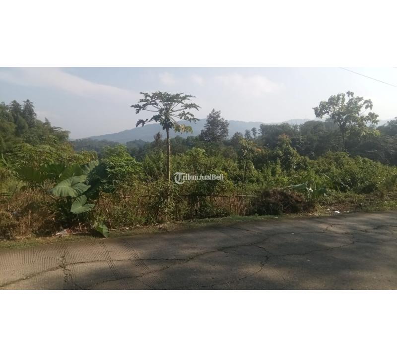 Tanah Dijual Luas 440 m2 Lokasi Pinggir Jalan Cocok Untuk Rumah, Villa, Tempat Usaha - Bogor