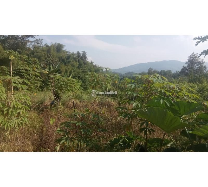 Tanah Dijual Luas 440 m2 Lokasi Pinggir Jalan Cocok Untuk Rumah, Villa, Tempat Usaha - Bogor