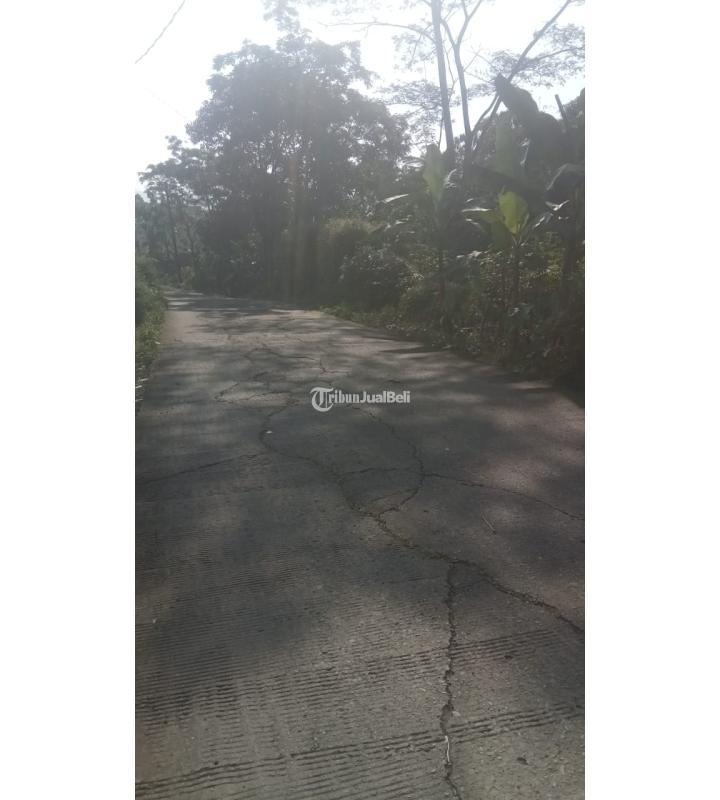 Tanah Dijual Luas 440 m2 Lokasi Pinggir Jalan Cocok Untuk Rumah, Villa, Tempat Usaha - Bogor