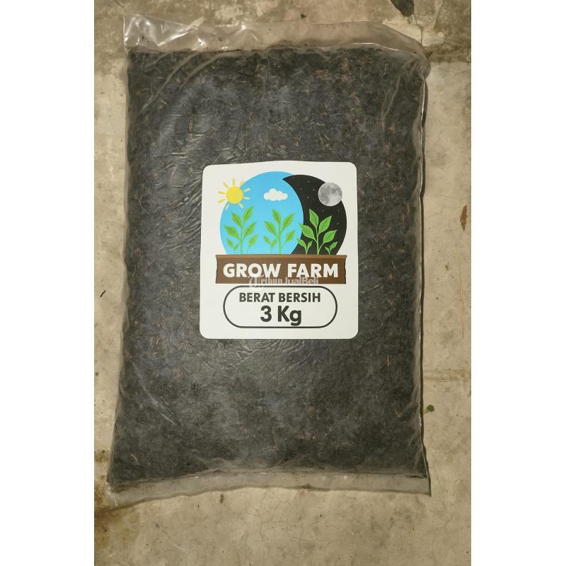 Supplier Sekam Bakar, Serang - Banten