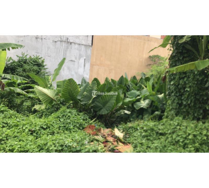 Dijual Tanah Luas 4are Bisa Di Ambil 1 Are Buc - Gianyar