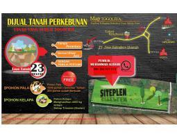 Dijual Tanah Kosong Lahan Perkebunan SHM -  Halmahera Utara