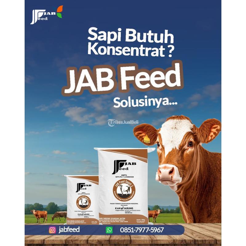Jabfeed, Pakan Konsentrat Sapi Potong Penggemukan - Malang