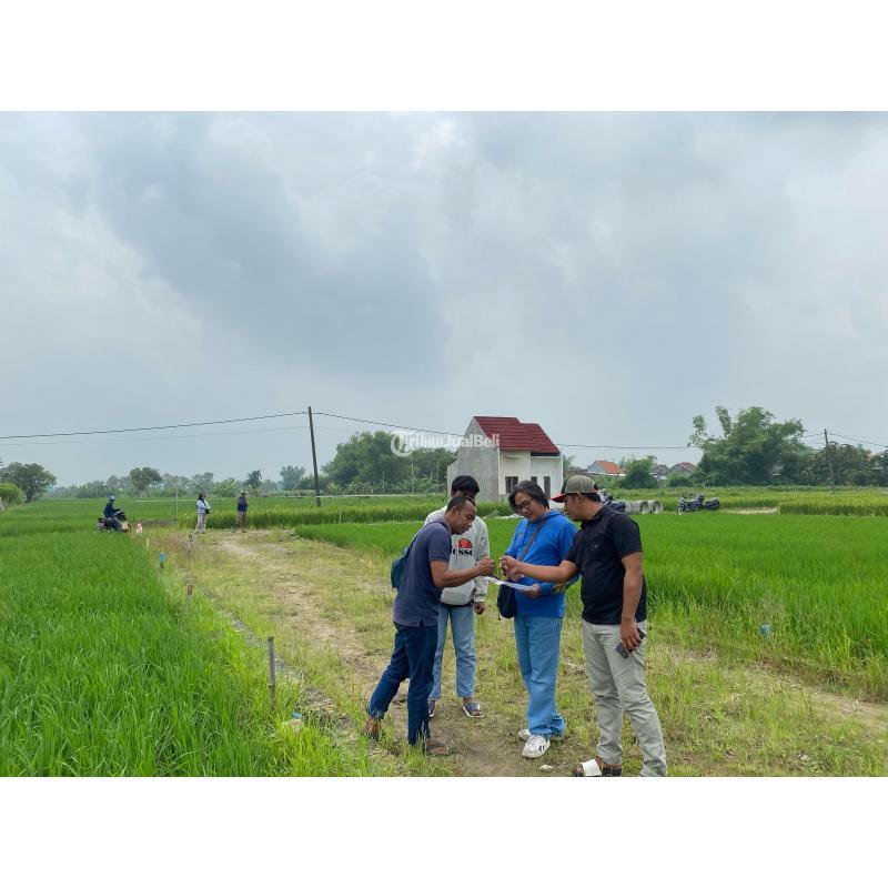 Dijual Tanah Kavling Luas 60m2 Murah Gratis Biaya Balik Nama - Gresik