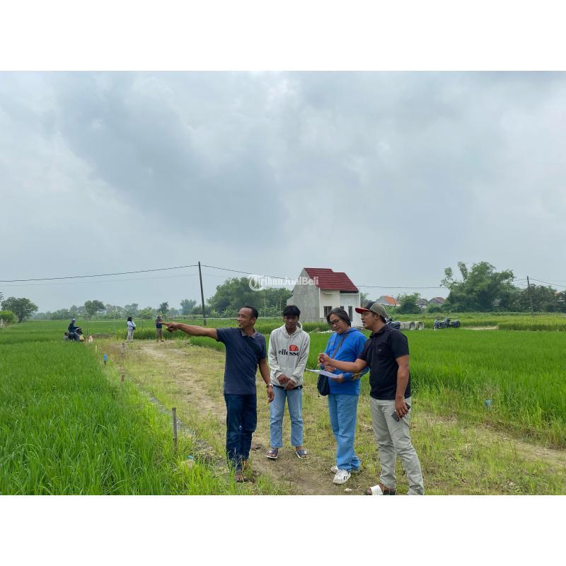 Dijual Tanah Kavling Luas 60m2 Murah Gratis Biaya Balik Nama - Gresik