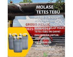 Kandungan Molase Tetes Tebu - Aceh Besar