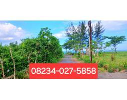 Dijual Tanah, Luas 4.250m2, SHM, Nempel Komaneka, Dekat Pantai Keramas, Gianyar - Bali