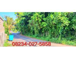 Jual Tanah 3188 M2 Zona Pariwisata Jl Pantai Purnama - Gianyar Bali