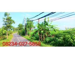 Jual Tanah 5340 m2 View Laut Jl Pantai Purnama Sukawati - Gianyar Bali