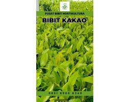 TSEL Pusat  Bibit Kakao Pollarise - Jambi 