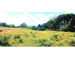 Dijual Tanah, Luas 4,5 Hektar, SHM, Jl. Ida Bagus Mantra Ketewel, Gianyar - Bali