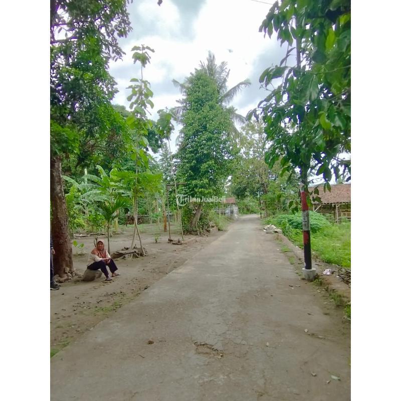 Jual Tanah Pekarangan Luas 533 m2 di Jambidan Banguntapan Jogja Dekat Giwangan, Kotagede - Bantul