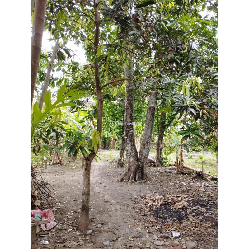 Jual Tanah Pekarangan Luas 533 m2 di Jambidan Banguntapan Jogja Dekat Giwangan, Kotagede - Bantul