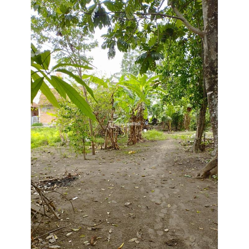 Jual Tanah Pekarangan Luas 533 m2 di Jambidan Banguntapan Jogja Dekat Giwangan, Kotagede - Bantul