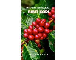 Tsel Sentral Bibit Kopi - Jambi 