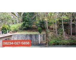 Dijual Tanah 90 Are di Manikyang Selemadeg - Tabanan 