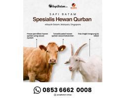 Program Tabungan Qurban 2026 Rahayu Sapi - Batam