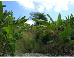 Dijual Tanah Lahan di Perbukitan di Desa Hatta, Bakauheni SHM - Lampung Selatan