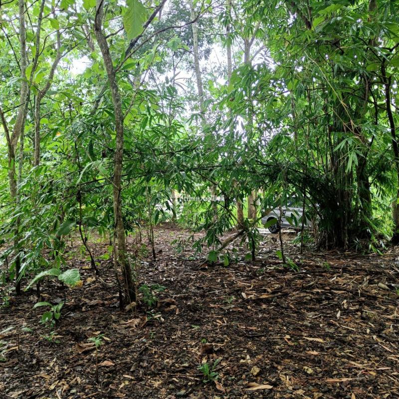 Dijual Tanah Investasi Siap Bangun 10 Menit Wonosari Kota Dekat UNY Semanu - Gunung Kidul