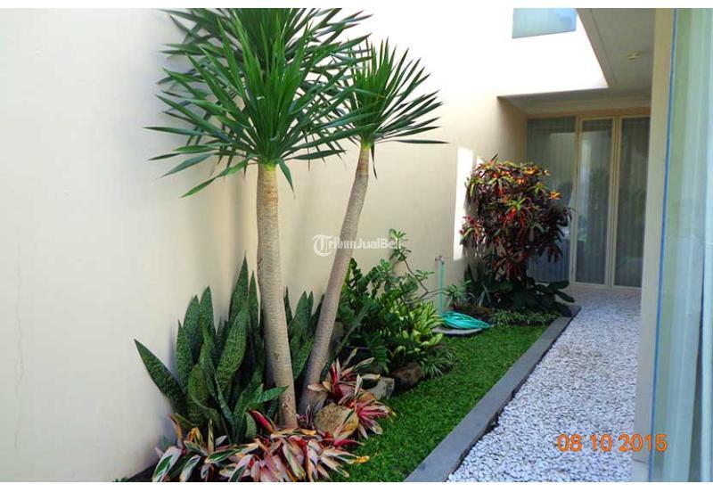 Tukang Taman Surabaya Timur - Surabaya