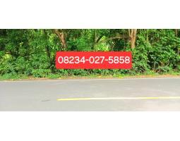 Disewakan Tanah, Luas 5000m2, SHM, Jl Raya Pengulon - Padangbai, Manggis, Karangasem - Bali