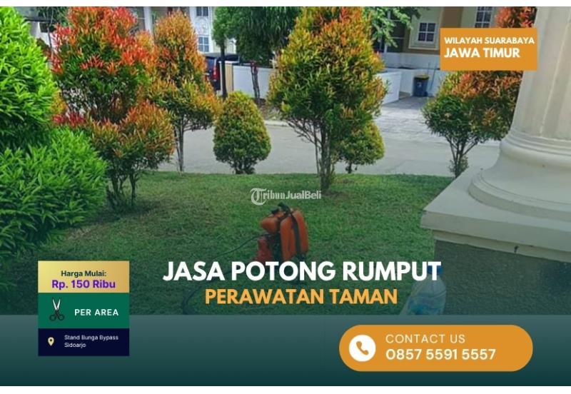 Jasa Perawatan Taman Pemangkasan Rumput dan Tanaman Hias - Surabaya