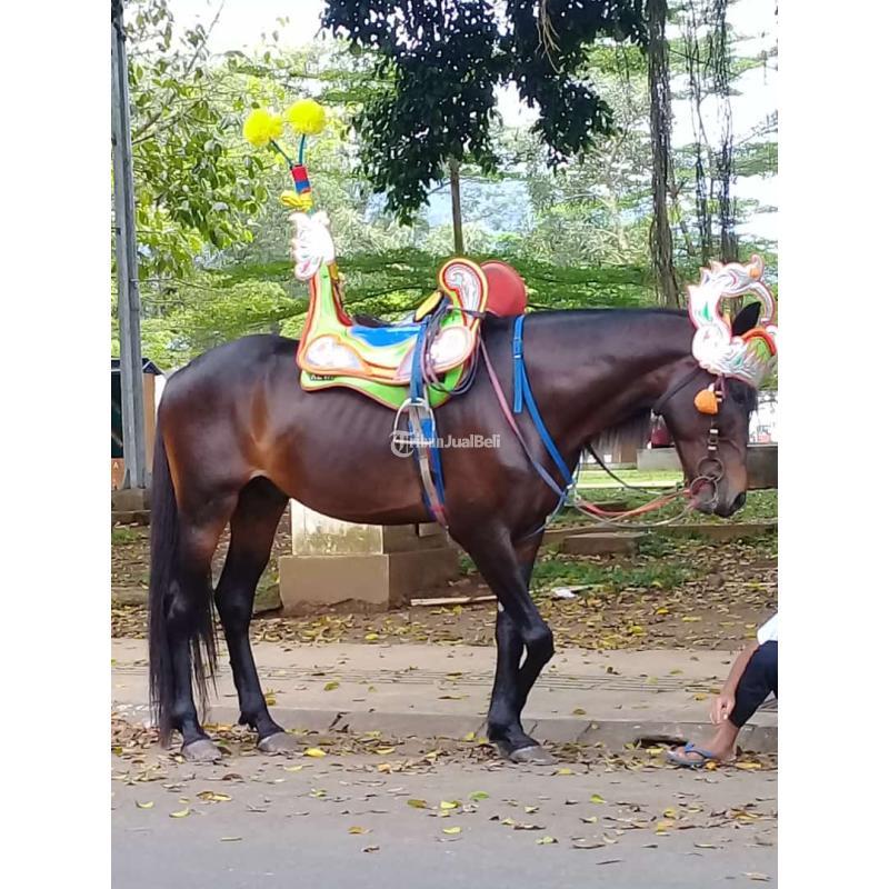 Porno qozoq ayollar 3g formatda Porno film: Seks onalar