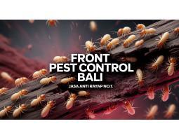 Jasa Anti Rayap di Bali - Denpasar
