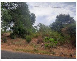 Dijual Tanah 92500 m2 SHGB Area Kubutambahan - Buleleng 