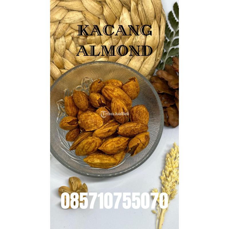 Supplier Kacang Almond Kulit, Oleh-oleh Umroh - Yogyakarta