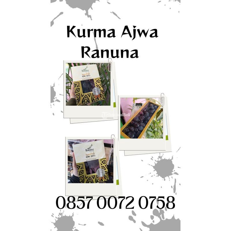 Jual Kurma Ajwa Oleh-oleh Umroh - Yogyakarta