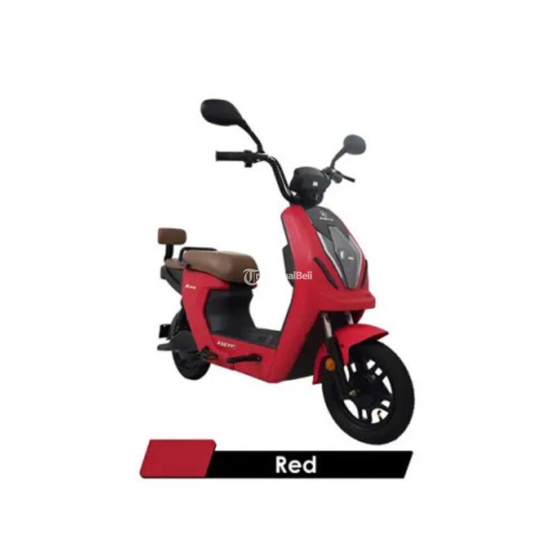 Sepeda Listrik Exotic X660 - Blitar