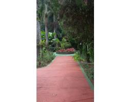Disewakan Tanah dan Bangunan di Jalan Inpres, Bojongkerta - Bogor 