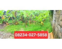 Jual Tanah, Luas 1000m2, SHM, Kawasan Pemukiman, Area Kapal Mengwi, Badung - Bali