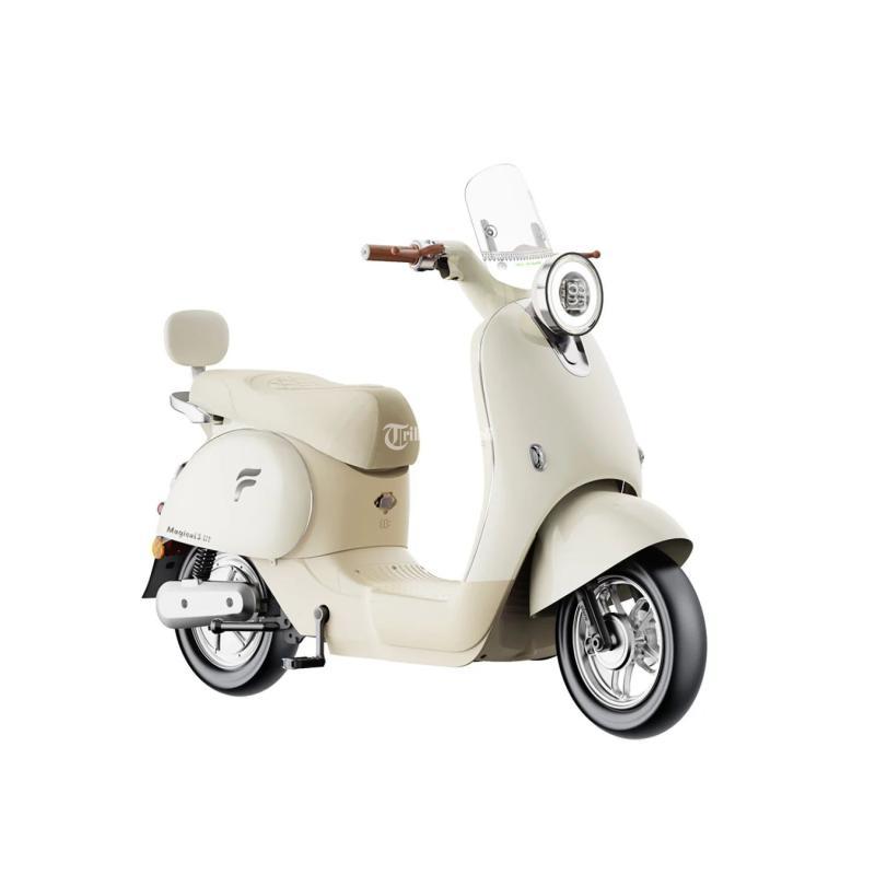 Sepeda Listrik Besar - Malang