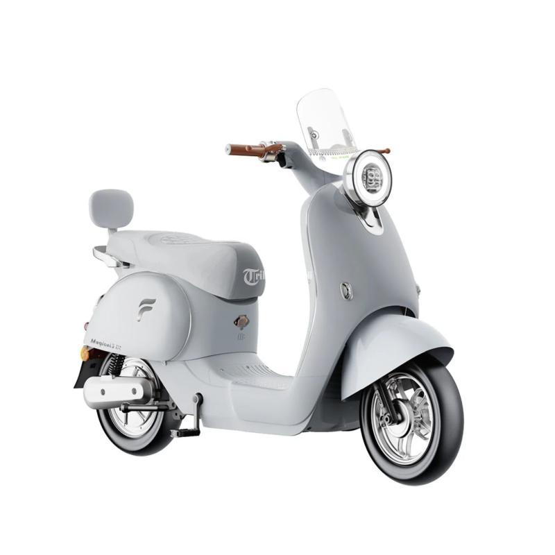 Sepeda Listrik Besar - Malang